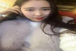 小飞象动画下载